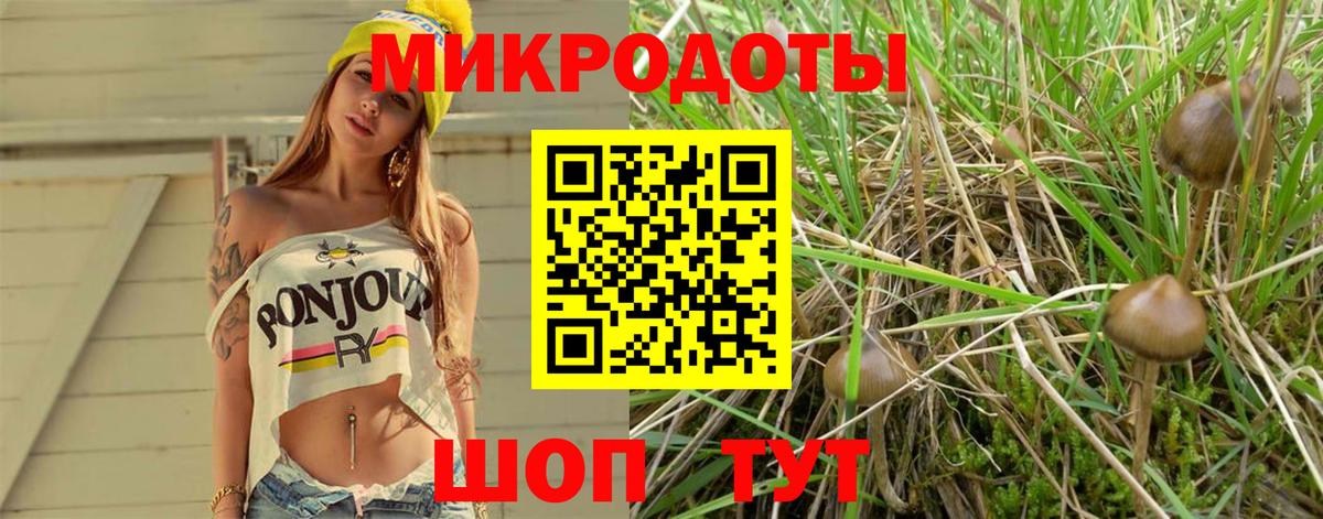 Галлюциногенные грибы Magic Shrooms  Вход с VPN  Берёзовский 