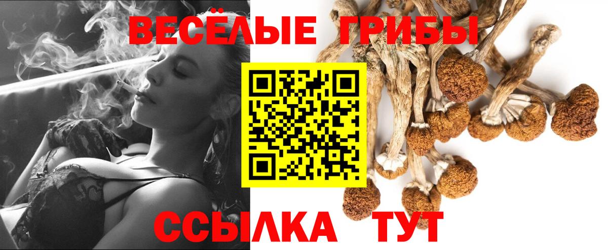 Псилоцибиновые грибы мицелий Берёзовский